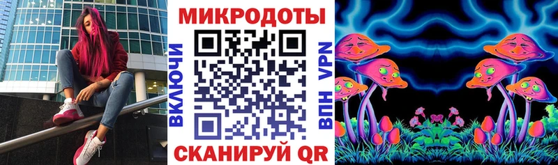 Купить  Томари  Галлюциногенные грибы мицелий 